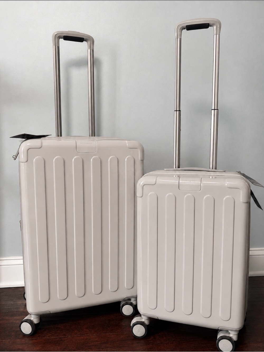 NWT Hedgren 2 piece matching spinner luggage~Light weight, protective bags